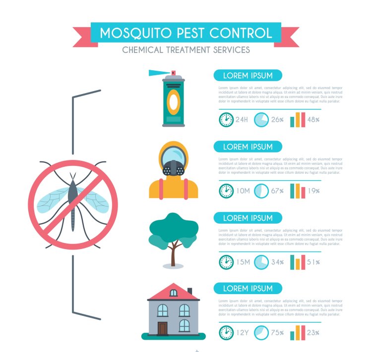 How to Prevent Mosquito-Borne Diseases in Darbhanga