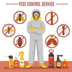 Best Pest Control Services in Ranchi: Why Inzila Stands Out