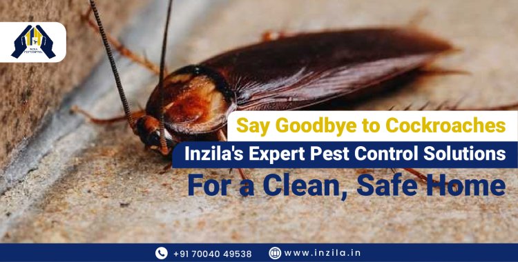 Say Goodbye to Cockroaches: Inzila's Expert Pest Control Solutions for a Clean, Safe Home