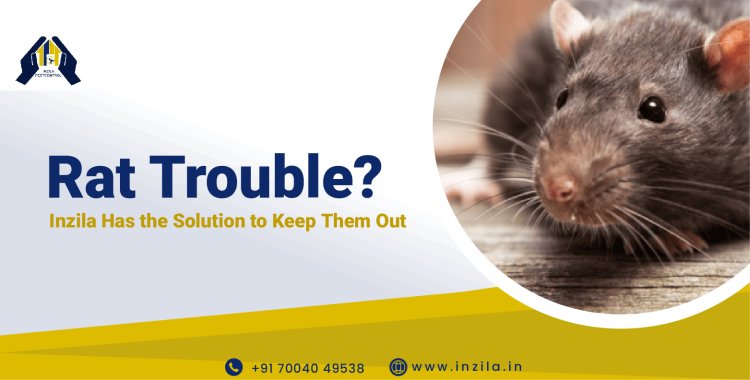 Rat Trouble? Inzila Has the Solution to Keep Them Out