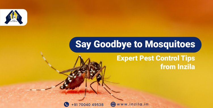 Say Goodbye to Mosquitoes: Expert Pest Control Tips from Inzila