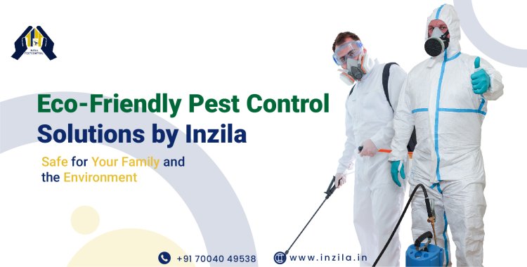 Eco-Friendly Pest Control Solutions by Inzila: Safe for Your Family and the Environment