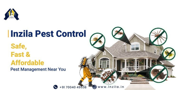 Inzila Pest Control: Safe, Fast & Affordable Pest Management Near You