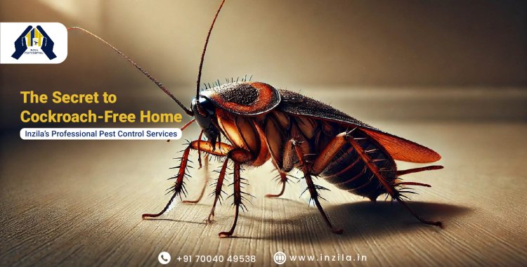 The Secret to a Cockroach-Free Home: Inzila’s Professional Pest Control Services