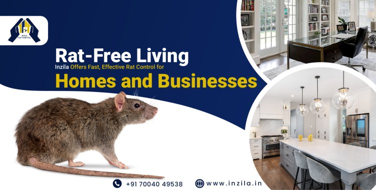 Rat-Free Living: Inzila Offers Fast, Effective Rat Control for Homes and Businesses