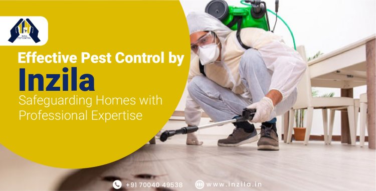 Effective Pest Control by Inzila: Safeguarding Homes with Professional Expertise