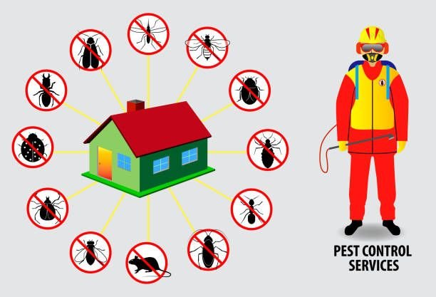 Inzila Pest Control: Best Pest Control Services in Patna