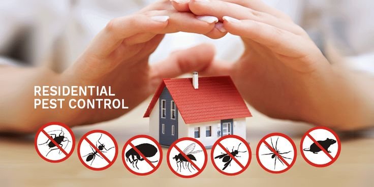 Inzila: Your Shield Against Pests – The Best Pest Control Services in Madhubani