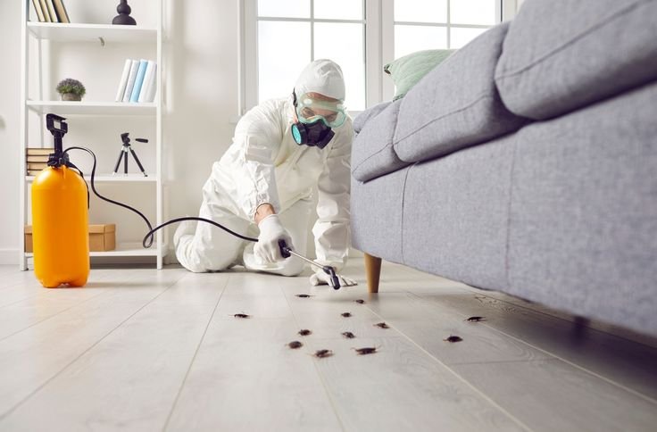 Best Pest Control & Termite Treatment in Bihar: Inzila - Protect Your Home with Expert Solutions