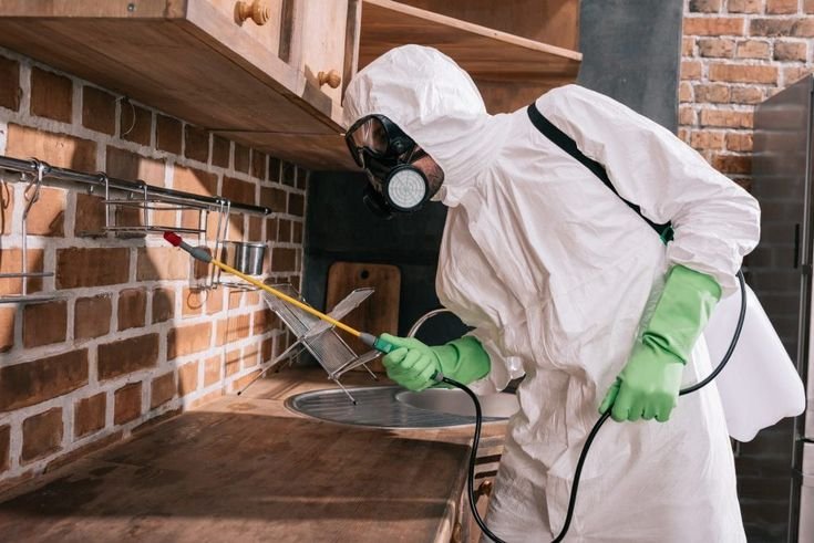 Top-Notch Pest Control Services in Bihar: Inzila - Protecting Your Home from Unwanted Intruders